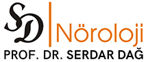 Prof. Dr. Serdar Dağ